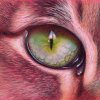 Eyeball.jpg