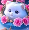 Kitty.jpg